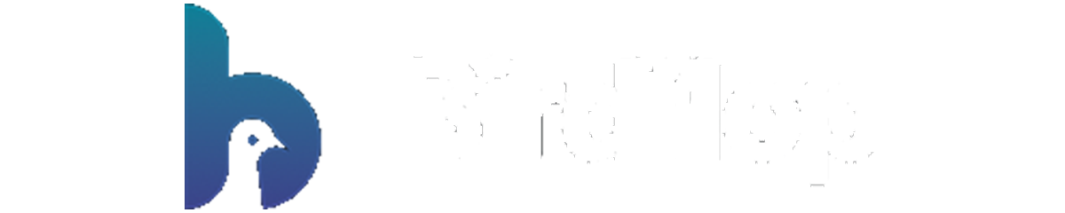 Birdflop Icon